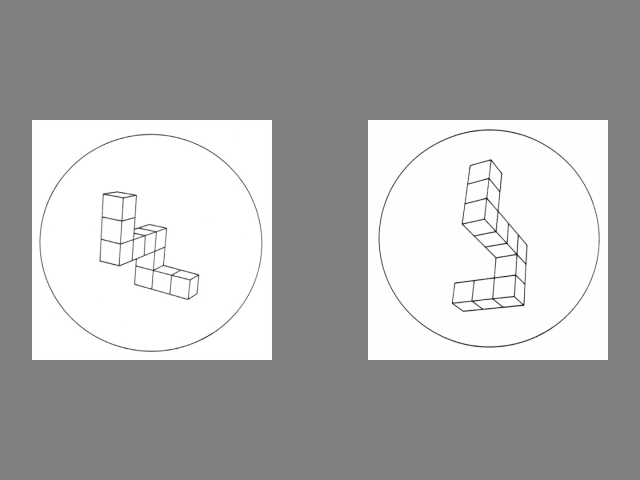 Mental Rotation Task Example Problem